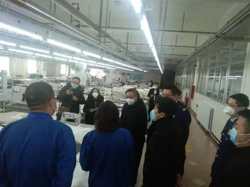 加強安全監管，助力疫情防控——自治區應急管理廳為防護用品生產企業提供專項安全指導服務